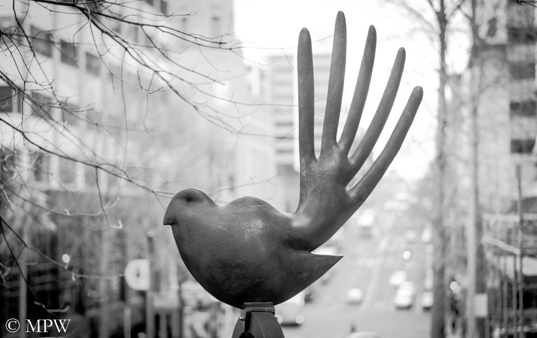 Auckland City black and white, street art outside the Central Library